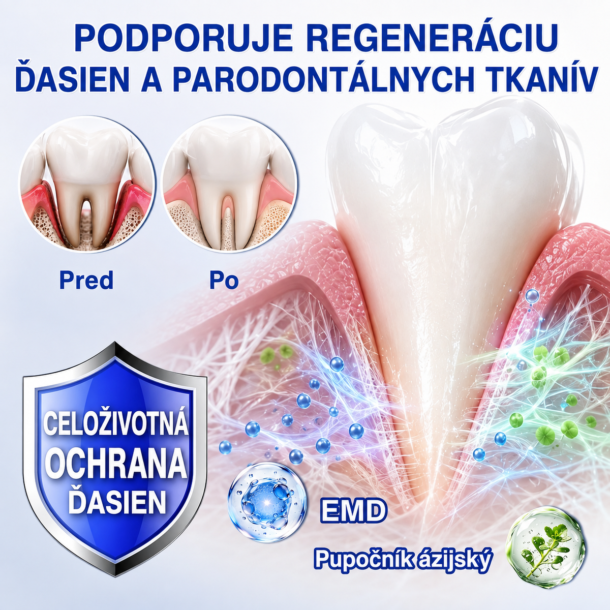 👨‍⚕️Evolvion® GumRevive regeneračný gél na parodont🦷